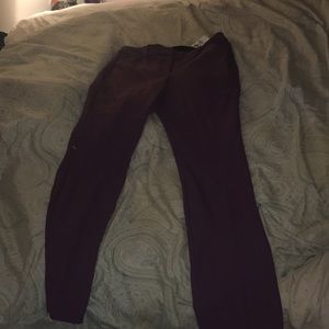 Express dress pants